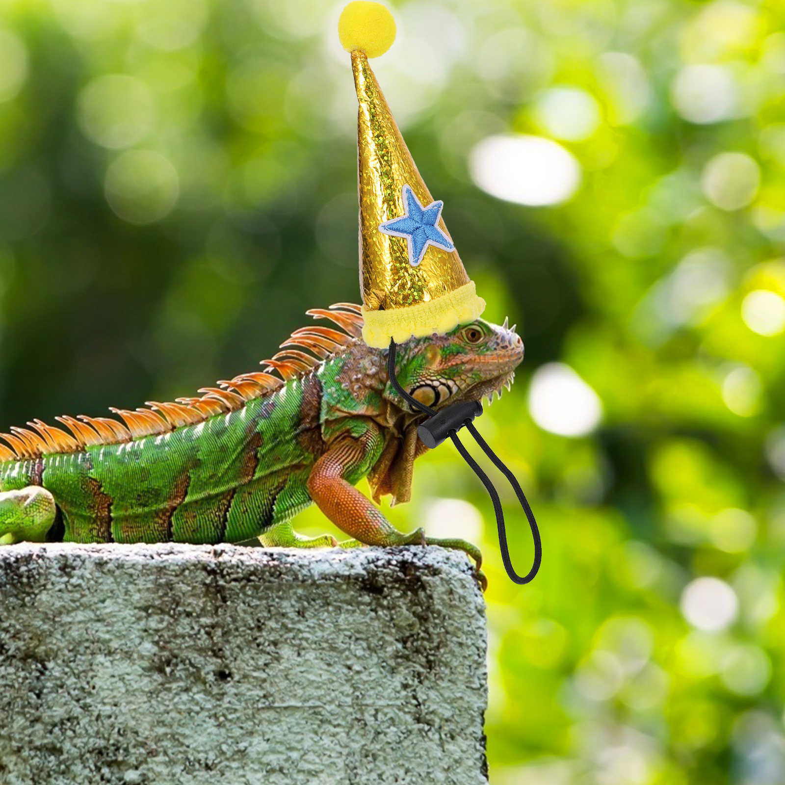 Party Hat Cone - 1 unidade de chapéu de lagarto