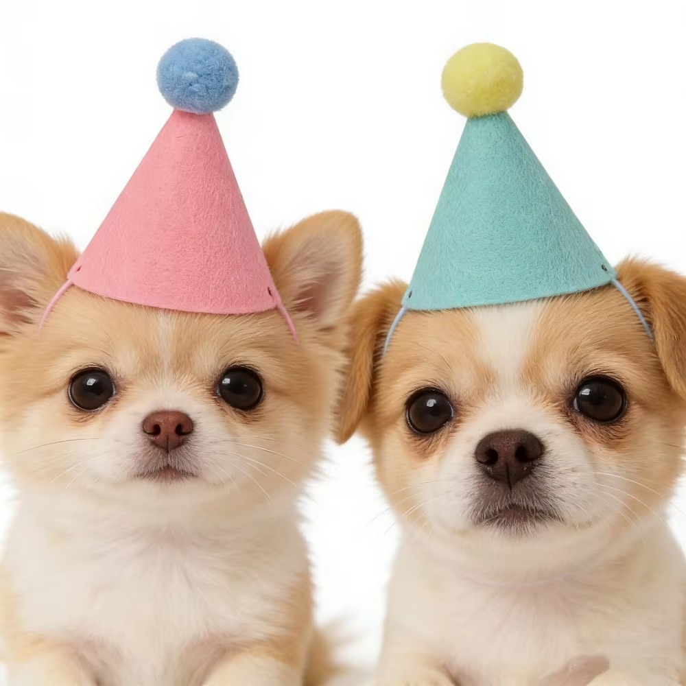 6/12 peças de chapéus de festa - Party Hat Cone avaliação e preço