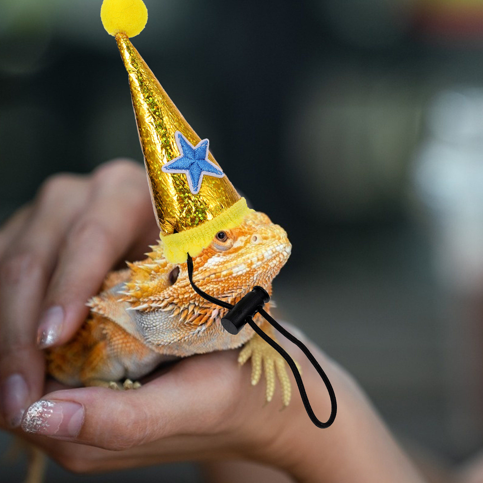 1 unidade de chapéu de lagarto - Party Hat Cone avaliação e preço